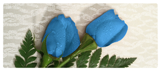 DNSEMP-L-051 2 Roses Blue